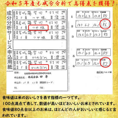 令和5年産 ひとめぼれ・つや姫 精米10kg(5kg×2) 食べ比べ 宮城県村田町産【1241457】