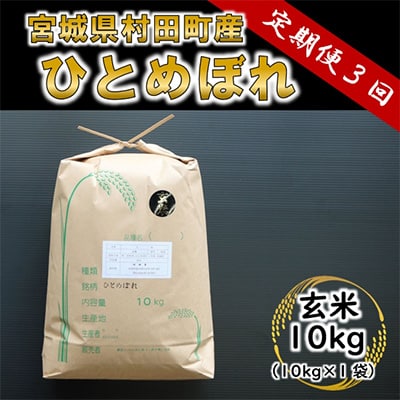 2023年7月発送開始『定期便』ひとめぼれ 玄米10kg 宮城県村田町産全3回【5123560】