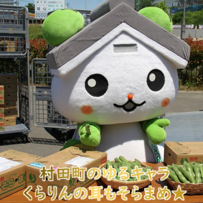 【先行受付2026年】そらまめ 約4kg Lサイズ 宮城県村田町産【配送不可地域：離島】【1451277】