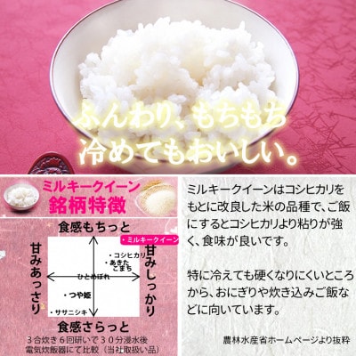 【新米】令和6年産　宮城県産ミルキークイーン 精米10kg【1552906】