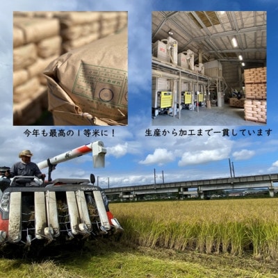 【毎月定期便】【数量限定】宮城県村田町産ひとめぼれ 精米 10kg(5kg×2袋)全6回【4056515】