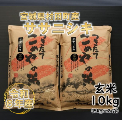 令和6年産 ササニシキ 玄米10kg(5kg×2) 宮城県村田町産【1217476】