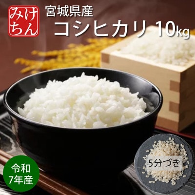 令和7年産　宮城県産コシヒカリ 5分づき精米　10kg【1726806】