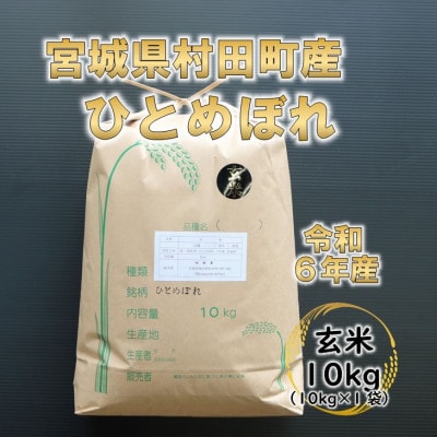 令和6年産 ひとめぼれ 玄米10kg 宮城県村田町産【1241454】