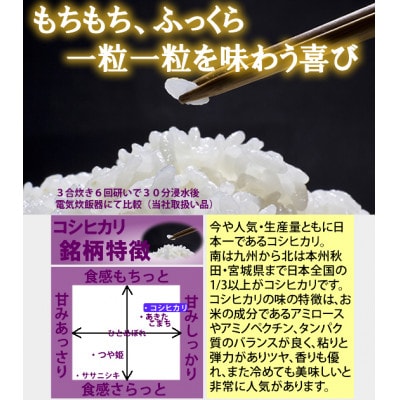 令和7年産　宮城県産コシヒカリ 5分づき精米　10kg【1726806】