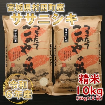 令和6年産 ササニシキ 精米10kg(5kg×2) 宮城県村田町産【1217474】