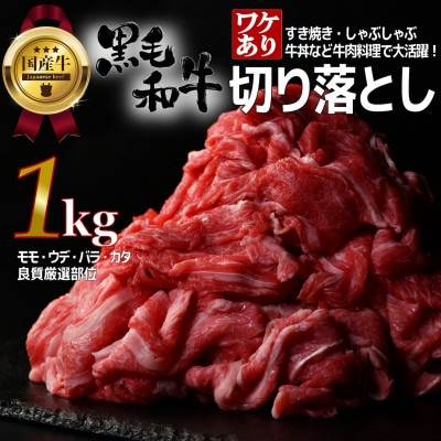 【訳あり】宮城県産黒毛和牛 1.0kg(500g×2)部位厳選切り落とし すき焼き・しゃぶしゃぶ用【配送不可地域：離島】【1571147】