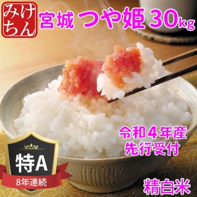 ◆令和4年産　宮城県産つや姫 精白米30kg　◆9年連続最高評価特A受賞【1339296】