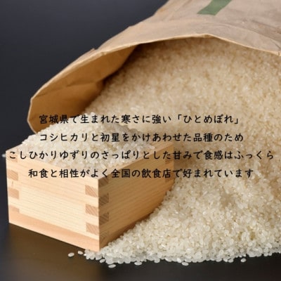 【毎月定期便】宮城県村田町産ひとめぼれ　玄米10kg(10kg×1)全3回【4082667】