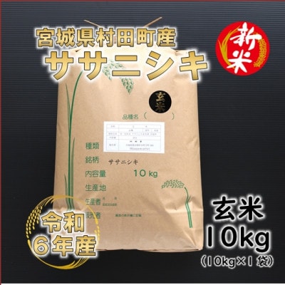 【新米】令和6年産 ササニシキ 玄米10kg(10kg×1) 宮城県村田町産【1576559】