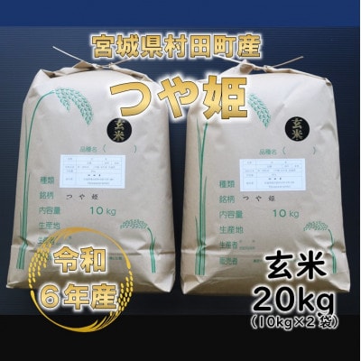 令和6年産 つや姫 玄米20kg(10kg×2) 宮城県村田町産【1553393】