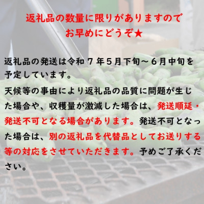 【先行受付2025年】そらまめ 約4kg Lサイズ 宮城県村田町産【配送不可地域：離島】【1451277】