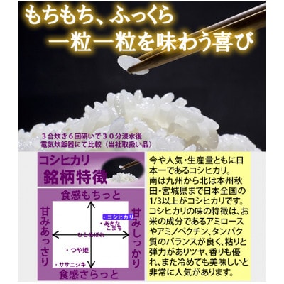 莉、蜥7蟷エ逕」縲螳ョ蝓守恁逕」繧ウ繧キ繝偵き繝ェ 邊セ邀ウ10kg縲1726800縲