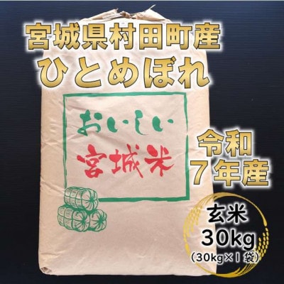 令和7年産 ひとめぼれ 玄米30kg 宮城県村田町産【1576073】