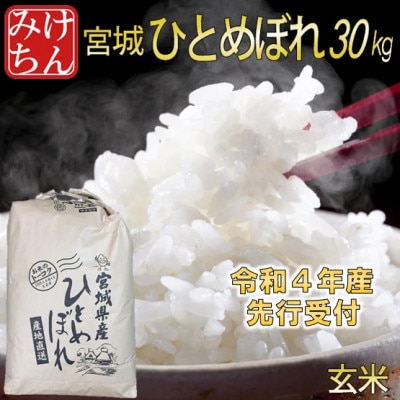 ◆令和4年産　宮城県産ひとめぼれ 玄米30kg【1339292】