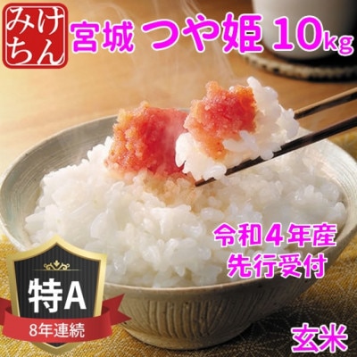 ◆令和4年産　宮城県産つや姫 玄米10kg 　◆9年連続最高評価特A受賞【1339294】