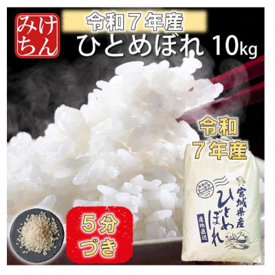 令和7年産　宮城県産ひとめぼれ10kg　5分づき【1671430】