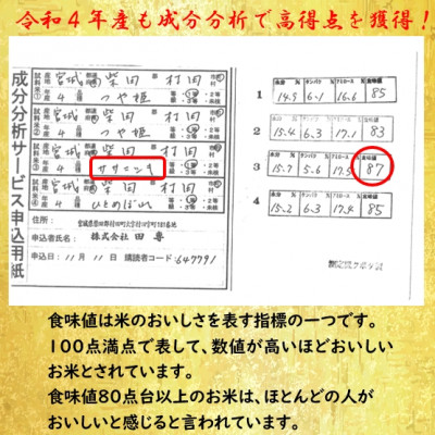 令和4年産 ササニシキ 玄米10kg(5kg×2) 宮城県村田町産【1217476】