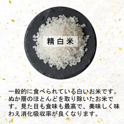 【新米】令和6年産　宮城県産ミルキークイーン 精米10kg【1552906】