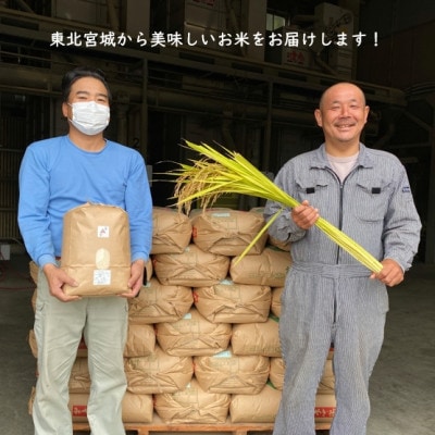 【毎月定期便】【数量限定】宮城県村田町産ひとめぼれ 精米 10kg(5kg×2袋)全6回【4056515】