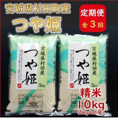 【毎月定期便】宮城県村田町産つや姫　精米10kg(5kg×2)全3回【4060601】