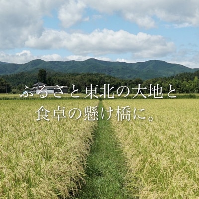 ◆令和4年産　宮城県産ひとめぼれ 精米10kg【1339288】