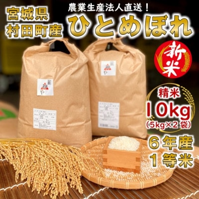 【新米】令和6年宮城県産 ひとめぼれ 精米10kg(5kg×2袋)【村田町産】【1547152】