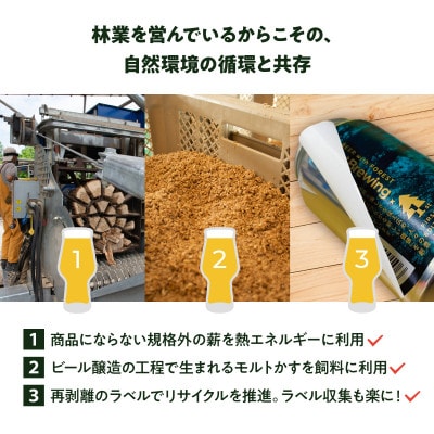 クラフトビール飲み比べ 12本セット【ForestBrewing醸造所】【配送不可地域：離島】【1553374】