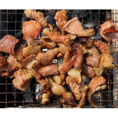 川崎ホルモン 2〜3人前 410g (濃厚ニンニク生タレ『辛口』80cc付き)【配送不可地域：離島】【1737163】