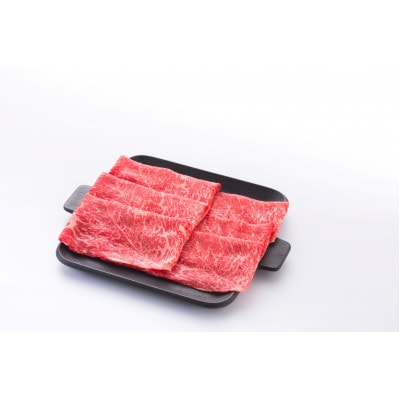 仙台牛カタ・モモスライス(川崎町産)【配送不可地域：離島・北海道・沖縄県・信越、北陸・近畿・中国・四国・九州】【1728308】