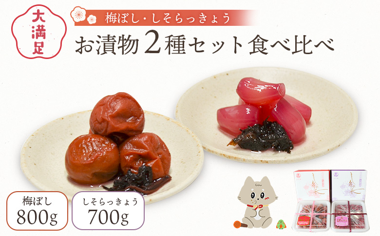 大満足　お漬物２種セット　梅ぼし　しそらっきょう　食べ比べ | お漬物 漬物 詰め合わせ 梅ぼし 梅干し うめぼし しそらっきょう らっきょう 食べ比べ 肉厚 昔ながら 甘酸っぱい 赤シソ シソ おつまみ ご飯のお供 お取り寄せ 宮城県 丸森町 丸森【02104】