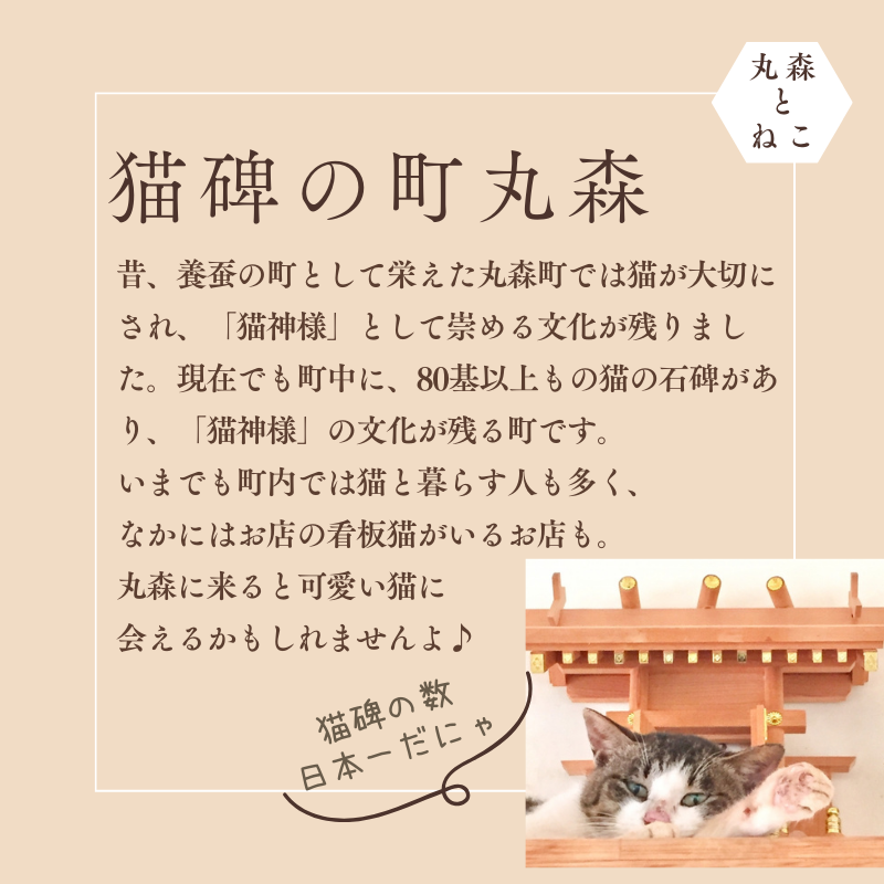 とらちゃんTシャツ×1枚（Mサイズ）【05123】