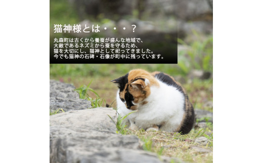 猫神様のケーキ缶6缶セット（3種×2缶） 猫 チーズ ケーキ 缶 シフォン グラノーラ いちご お菓子  デザート スイーツ【0610501】