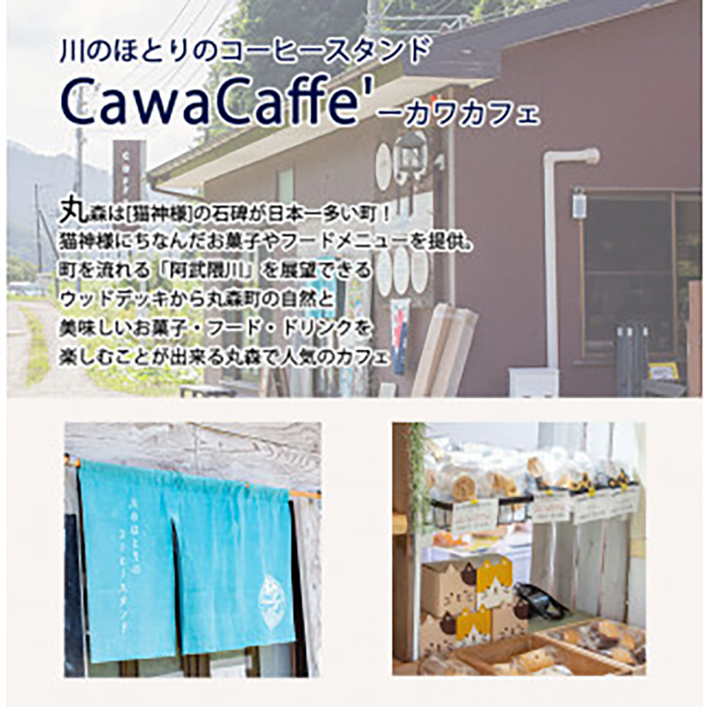 猫神様のケーキ缶3缶セット（3種×1缶） 猫 チーズ ケーキ 缶 シフォン グラノーラ いちご お菓子 デザート スイーツ【0610901】