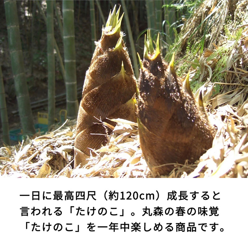 たけのこカレー1人前×2個 たけのこごはんの素3合×2個 合計4個セット【08101】