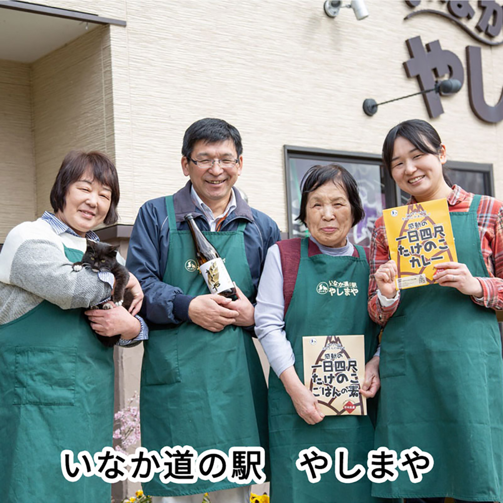 たけのこカレー1人前×2個 たけのこごはんの素3合×2個 合計4個セット【08101】