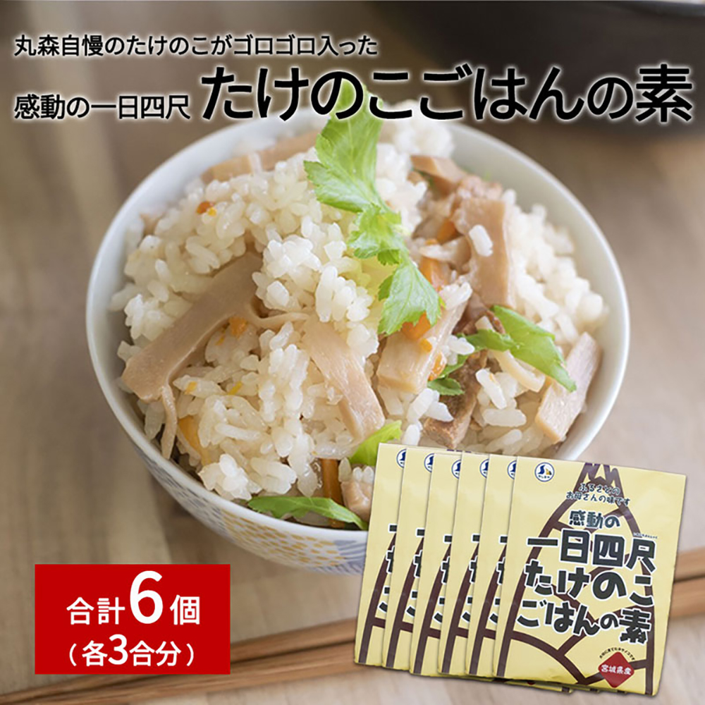たけのこごはんの素3合×6個セット【08106】