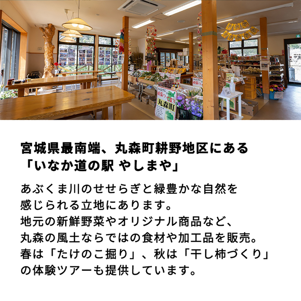 ã䞞森çºç¹ç£ã ããã®ãã«ã¬ãŒ5åã08109ã
