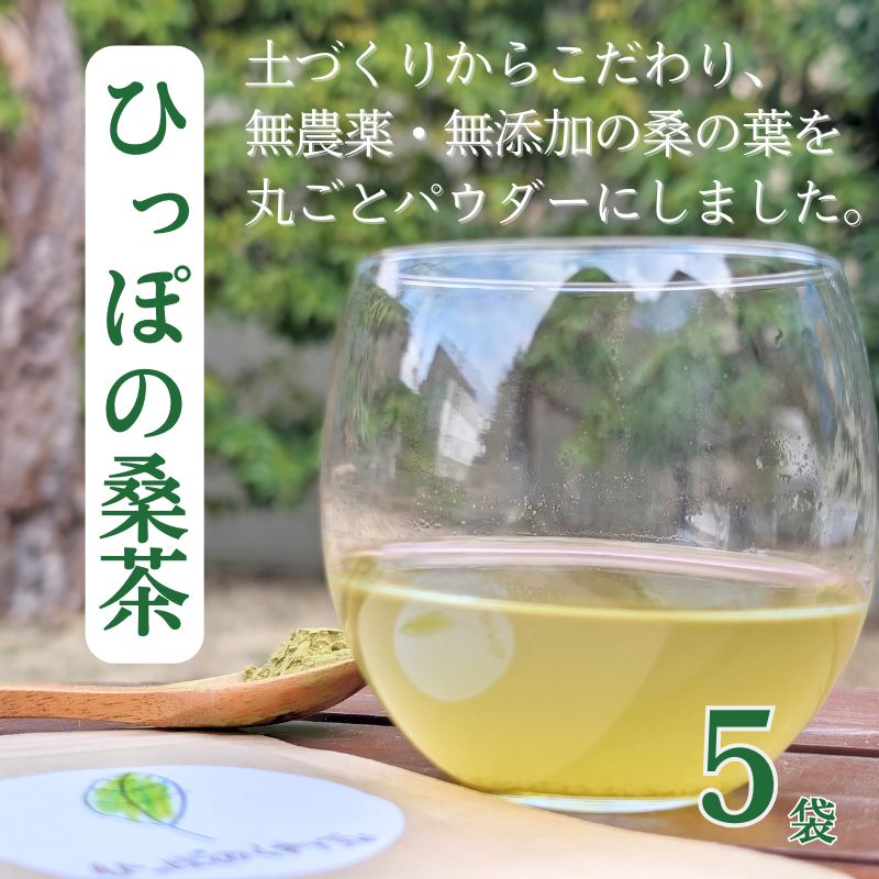ひっぽの桑茶5袋セット【09109】