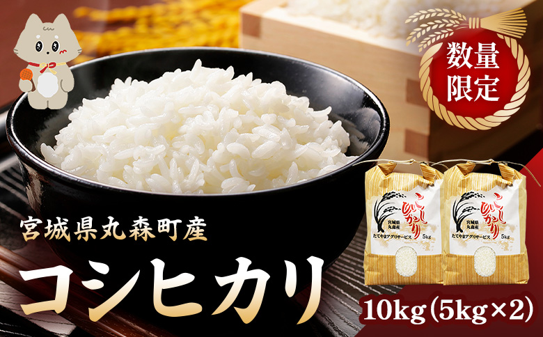 シ懈焚驥城剞螳夲シ槫ョョ蝓守恁荳ク譽ョ逕コ逕」 繧ウ繧キ繝偵き繝ェ 10kg(5kgテ2) | 縺オ繧九&縺ィ邏咲ィ 螳ョ蝓守恁 荳ク譽ョ 邀ウ 邊セ邀ウ 逋ス邀ウ 10kg 5kg 繧ウ繧キ繝偵き繝ェ 縺薙@縺イ縺九j 謨ー驥城剞螳 貂幄セイ阮ャ 縺雁叙繧雁ッ縺 繝ッ繝ウ繧ケ繝医ャ繝 繝槭う繝壹シ繧ク縲縺溘※繧縺セ繧「繧ー繝ェ繧オ繝シ繝薙せ 荳ク譽ョ逕コ縲1110101縲