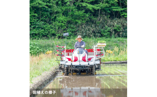 シ懈焚驥城剞螳夲シ槫ョョ蝓守恁荳ク譽ョ逕コ逕」 繧ウ繧キ繝偵き繝ェ 10kg(5kgテ2) | 縺オ繧九&縺ィ邏咲ィ 螳ョ蝓守恁 荳ク譽ョ 邀ウ 邊セ邀ウ 逋ス邀ウ 10kg 5kg 繧ウ繧キ繝偵き繝ェ 縺薙@縺イ縺九j 謨ー驥城剞螳 貂幄セイ阮ャ 縺雁叙繧雁ッ縺 繝ッ繝ウ繧ケ繝医ャ繝 繝槭う繝壹シ繧ク縲縺溘※繧縺セ繧「繧ー繝ェ繧オ繝シ繝薙せ 荳ク譽ョ逕コ縲1110101縲