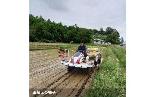 シ懈焚驥城剞螳夲シ槫ョョ蝓守恁荳ク譽ョ逕コ逕」 繧ウ繧キ繝偵き繝ェ 10kg(5kgテ2) | 縺オ繧九&縺ィ邏咲ィ 螳ョ蝓守恁 荳ク譽ョ 邀ウ 邊セ邀ウ 逋ス邀ウ 10kg 5kg 繧ウ繧キ繝偵き繝ェ 縺薙@縺イ縺九j 謨ー驥城剞螳 貂幄セイ阮ャ 縺雁叙繧雁ッ縺 繝ッ繝ウ繧ケ繝医ャ繝 繝槭う繝壹シ繧ク縲縺溘※繧縺セ繧「繧ー繝ェ繧オ繝シ繝薙せ 荳ク譽ョ逕コ縲1110101縲
