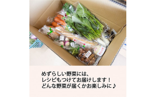 å£ç¯ã®ããããéèããŸããè©°ãåããBOX 8çš®ïœ12çš®é¡ éåžžãµã€ãºã16101ã