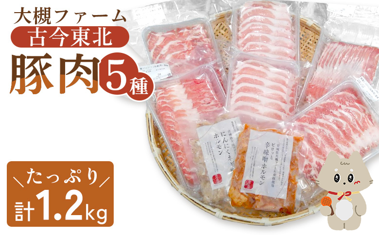 【古今東北】 丸森町大槻ファーム 豚肉5種類セット(計1.2kg） 丸森町 古今東北 大槻ファーム 豚肉セット 1.2kg SPF豚 しもふりレッド　焼き肉 豚しゃぶ 生姜焼き 味付けホルモン 辛味噌ホルモン にんにくネギ塩ホルモン 古今東北 丸森　ふるさと納税【3010101】