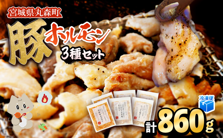 [古今東北] 丸森町大槻ファーム 豚ホルモン3種セット(計860g) | 古今東北 大槻ファーム 豚ホルモン 3種類 セット 860g めぐみ野豚 めぐみ野ポーク 三元豚 豚肉 焼肉 ホルモン 味付き 味付けホルモン しこうまテッポウ塩ホルモン 辛味噌ホルモン にんにくネギ塩ホルモン 塩ホルモン 辛味噌 にんにくネギ塩 塩ホルモン 白モツ 柔らかい 肉厚 歯応え 美味しい ふるさと納税 お取り寄せ 宮城県 丸森町 丸森[30102]
