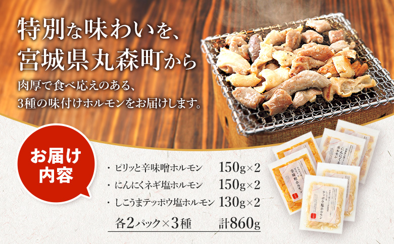 【古今東北】 丸森町大槻ファーム 豚ホルモン3種セット(計860g） | 古今東北 大槻ファーム 豚ホルモン 3種類 セット 860g めぐみ野豚 めぐみ野ポーク 三元豚 豚肉 焼肉 ホルモン 味付き 味付けホルモン しこうまテッポウ塩ホルモン 辛味噌ホルモン にんにくネギ塩ホルモン 塩ホルモン 辛味噌 にんにくネギ塩 塩ホルモン 白モツ 柔らかい 肉厚 歯応え 美味しい ふるさと納税 お取り寄せ 宮城県 丸森町 丸森【30102】