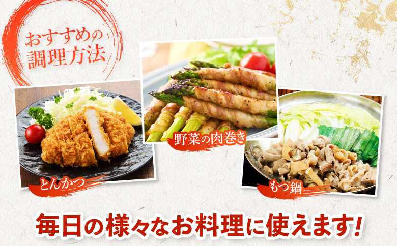 【古今東北】 丸森町大槻ファーム 豚肉3種セット(計730g） | 古今東北 大槻ファーム 豚肉 3種類 セット 詰め合わせ SPF豚 しもふりレッド めぐみ野豚 めぐみ野ポーク 三元豚 焼肉 ホルモン 味付き 味付けホルモン しこうまテッポウ塩ホルモン 豚ロース 豚バラ 塩ホルモン 赤身 旨味 柔らかい 肉厚 歯応え 美味しい 焼き肉 豚しゃぶ 生姜焼き ふるさと納税 お取り寄せ 宮城県 丸森町 丸森【30103】