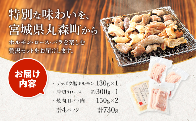 【古今東北】 丸森町大槻ファーム 豚肉3種セット(計730g） | 古今東北 大槻ファーム 豚肉 3種類 セット 詰め合わせ SPF豚 しもふりレッド めぐみ野豚 めぐみ野ポーク 三元豚 焼肉 ホルモン 味付き 味付けホルモン しこうまテッポウ塩ホルモン 豚ロース 豚バラ 塩ホルモン 赤身 旨味 柔らかい 肉厚 歯応え 美味しい 焼き肉 豚しゃぶ 生姜焼き ふるさと納税 お取り寄せ 宮城県 丸森町 丸森【30103】
