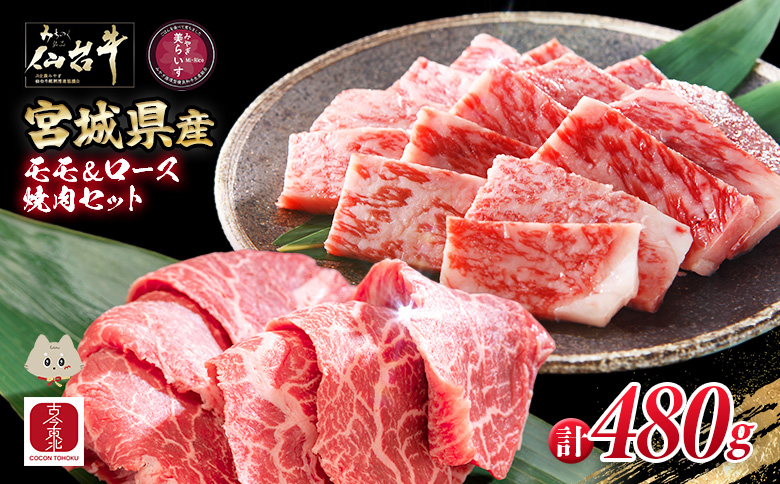 [古今東北] 宮城県産 特選仙台牛 A5ランク 美らいす和牛 焼き肉用セット(モモ・ロース) 480g(ロース 200g / もも 280g) | 専用箱発送 黒毛和牛 和牛 国産和牛 ブランド牛 高級和牛 霜降り とろける 柔らかい牛肉 肉汁たっぷり 上質な脂 宮城県産和牛 ごはん育ち サステナブル 贅沢グルメ 冷凍牛肉 国産牛 A5和牛 霜降り 高級 特選和牛 ギフトにも 牛肉 株式会社東北協同事業開発 お取り寄せ 宮城県 丸森町 丸森[30106]