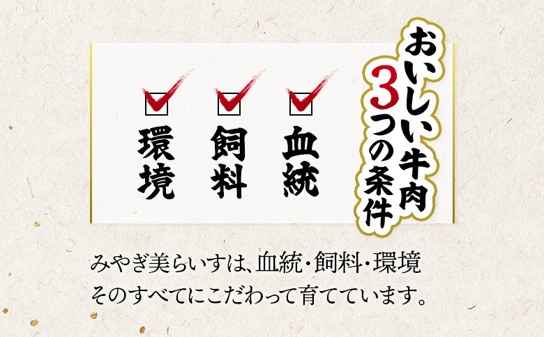 【古今東北】 宮城県産 特選仙台牛 A5ランク 美らいす和牛 サーロインステーキ 180g×2 | 専用箱発送 古今東北 宮城県産 特選 仙台牛 美らいす 和牛 ステーキ 450g 黒毛和牛 和牛 国産和牛 ブランド牛 高級和牛 霜降り とろける 柔らかい牛肉 肉汁たっぷり 上質な脂 牛 宮城県産和牛 ごはん育ち サステナブル 贅沢グルメ 冷凍牛肉 国産牛 A5和牛 霜降り 高級 特選和牛 ギフトにも 牛肉 株式会社東北協同事業開発 お取り寄せ 宮城県 丸森町 丸森【30107】